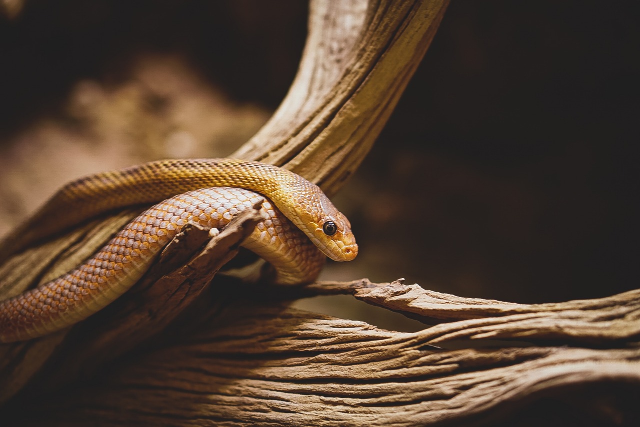 discover effective strategies and tools for scaling your business successfully. learn key steps to grow sustainably, overcome challenges, and maximize your organization's potential.
