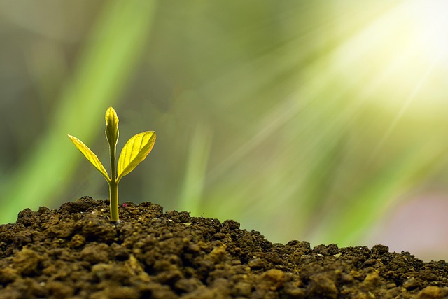 Financial management essentials for growing your business