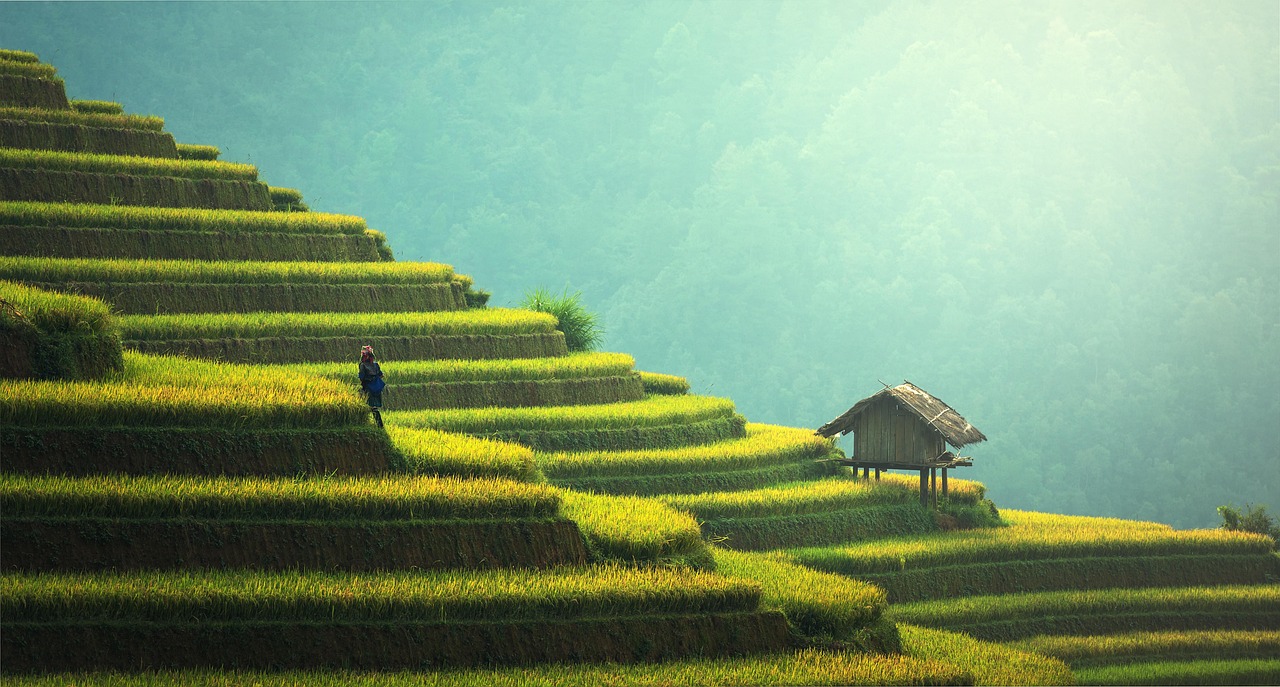 Building a Sustainable Business Model for Long-Term Growth